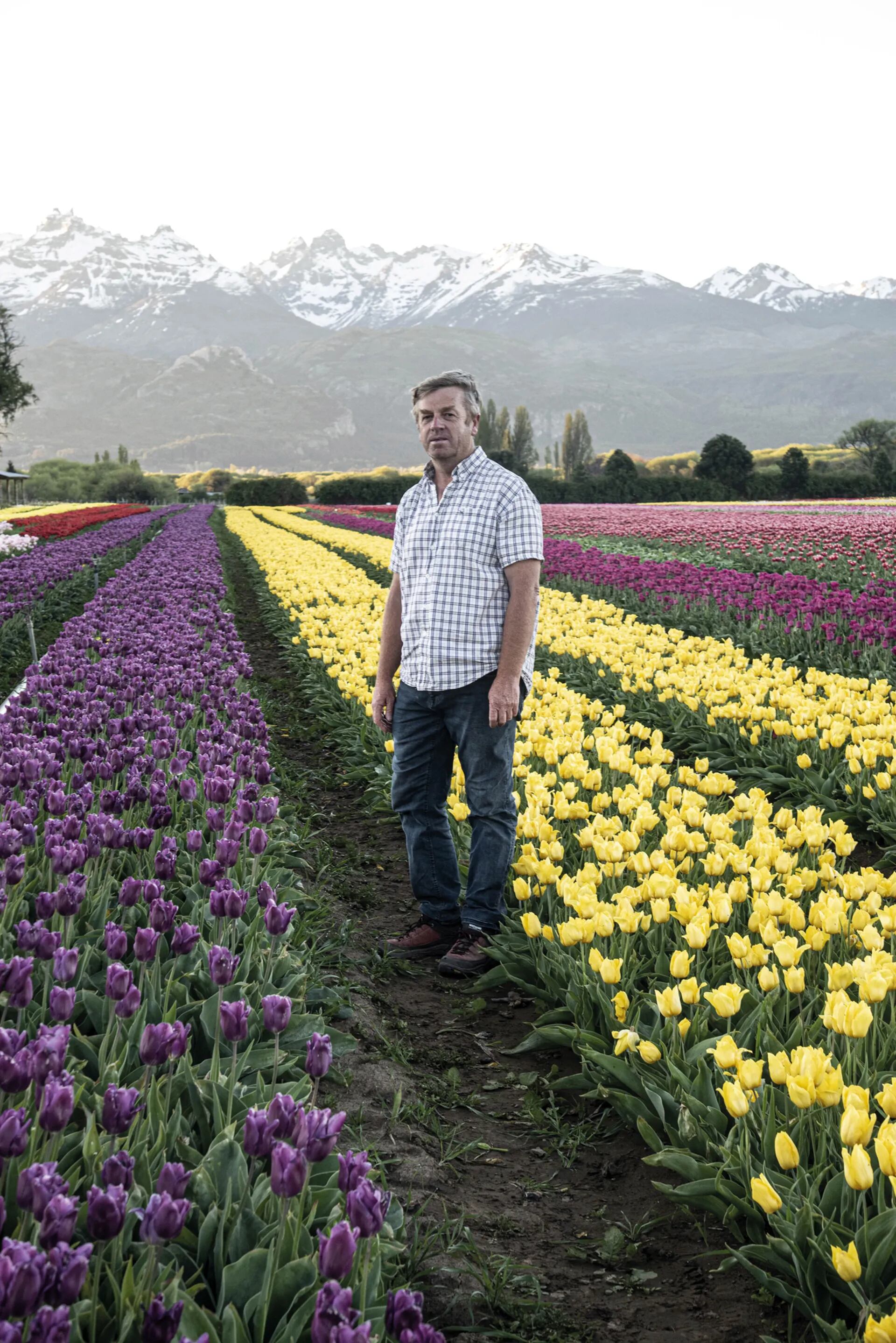 Compró 200 bulbos para vender en la plaza del pueblo y hoy cultiva un campo  de 2,5 hectáreas en la Patagonia - LA NACION