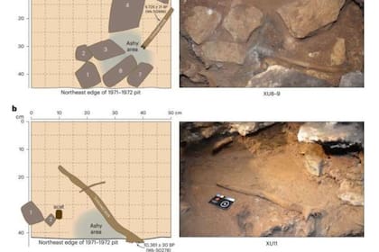 02/07/2024 Las dos chimeneas en miniatura con palos recortados inmediatamente después de que fueron expuestas por la excavación en el cuadrado R31 de la cueva de Cloggs, con las bases de los palos aún no separadas de los sedimentos en los que se asientan..  Evidencias de rituales aborígenes que datan de hace 500 generaciones, unos 12.000 años, han sido identificados en la cueva de Cloggs, en los Alpes Victorianos, al sureste de Australia.  POLITICA INVESTIGACIÓN Y TECNOLOGÍA NATURE HUMAN BEHAVIOUR (2024)/DAVID ET AL.