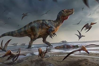 09/06/2022 El mayor depredador terrestre de Europa vivió en una isla inglesa.  Paleontólogos de la Universidad de Southampton han identificado los restos de uno de los cazadores terrestres más grandes de Europa: un dinosaurio de 10 metros que vivió hace unos 125 millones de años.  POLITICA INVESTIGACIÓN Y TECNOLOGÍA UOS/A HUTCHINGS