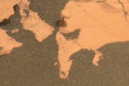 12/03/2024 Imagen del 'hongo' encontrado en Marte POLITICA INVESTIGACIÓN Y TECNOLOGÍA NASA
