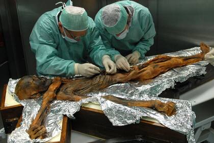 12/07/2018    El primer análisis en profundidad del contenido estomacal de Otzi, el cadáver momificado por el frío durante 5.300 años, hallado en 1991 en un glaciar alpino, comió por última vez alimentos ricos en grasa POLITICA INVESTIGACIÓN Y TECNOLOGÍA SOUTHTYROLARCHAEOLOGYMUSEUM\EURAC\M.SAMADELLI