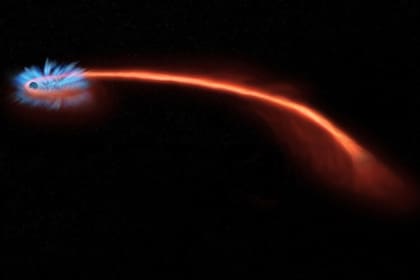 12/07/2022 Si una estrella (rastro rojo) se acerca demasiado a un agujero negro (izquierda), puede ser triturada o espaguetizada por la intensa gravedad..  Midiendo la polarización de la luz emitida cuando una estrella es 'espaguetizada', astrónomos de Berkeley han deducido la forma de la nube de escombros que quedó como resultado.  POLITICA INVESTIGACIÓN Y TECNOLOGÍA NASA/CXC/M. WEISS