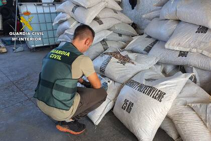 21-10-2021 Desarticulada una organización criminal que importaba cocaína por vía marítima desde Sudamérica. POLITICA GUARDIA CIVIL