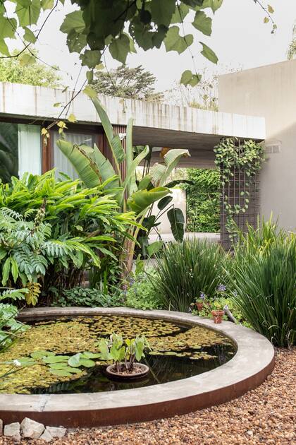 Un jardín con estilo tropical, con espacios integrados y accesibilidad para personas con movilidad reducida 