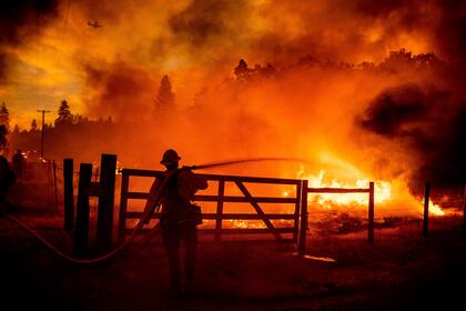 Archivo - Un bombero combate las llamas mientras el incendio Oak cruza la calle Darrah Rd. en el condado de Mariposa, California, el 22 de julio de 2022. (AP Foto/Noah Berger, Archivo)