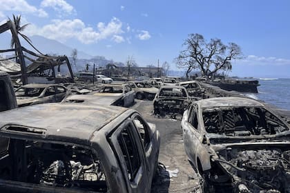 Autos calcinados en Lahaina, Hawái, el 9 de agosto de 2023, como consecuencia de uno de los incendios forestales más mortales en EE.UU. de los últimos años (Tiffany Kidder Winn via AP)