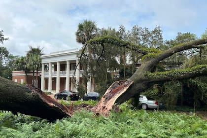 Casey DeSantis compartió cómo cayó un árbol en la mansión del gobernador por el impacto de Idalia