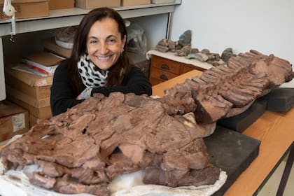 Claudia Marsicano, investigadora argentina del CONICET, quien junto a un equipo de investigadores descubrieron un nuevo tetrápodo basal gigante de unos 285 millones de años de antigüedad al que llamaron Gaiasia jennyae.