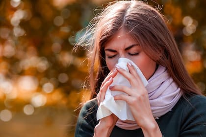 Con la llegada del invierno aparecen brotes de gripe y alergia.