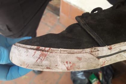 Crimen de Fernando Báez Sosa: la marca de la zapatilla en la cara de la víctima es de Máximo Thomsen