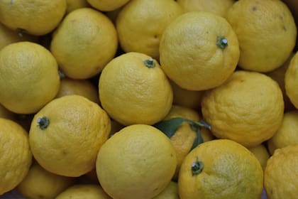 Cuál es el supercítrico que reemplaza al limón (Foto: Pixabay)