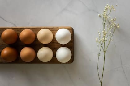 ¿Cuál es la diferencia nutricional y de sabor entre los huevos marrones y los blancos? (Foto Pexels)