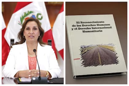 Dina Boluarte, fue acusada de plagiar una monografía argentina en un libro que publicó en 2004.