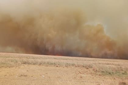 El campo de Martin Gómez en Mercedes, Corrientes, cubierto por las llamas