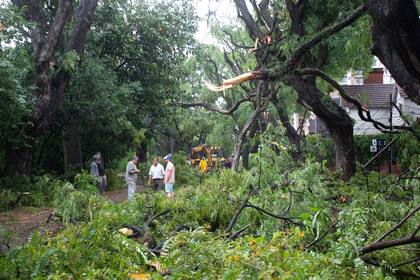 El caos, después del temporal en San Isidro