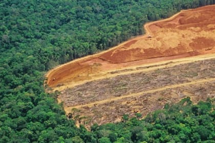 El estudio tiene en cuenta, por primera vez, las emisiones causadas por la deforestación, no solo la quema de combustibles fósiles