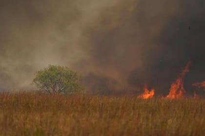 El fuego avanzó sobre diversas regiones de Corrientes