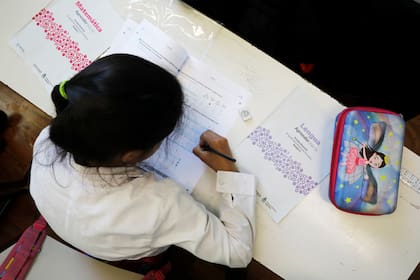 El Gobierno oficializó la creación del Plan Nacional de Alfabetización