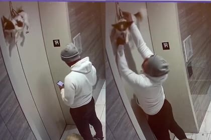 El hombre tardó unos segundos en ver al perro colgado del ascensor, pero luego reaccionó rápidamente