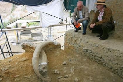 El Instituto Catalán de Paleoecología Humana y Evolución Social fue quien dirigió la excavación donde se hallaron los restos de mamut