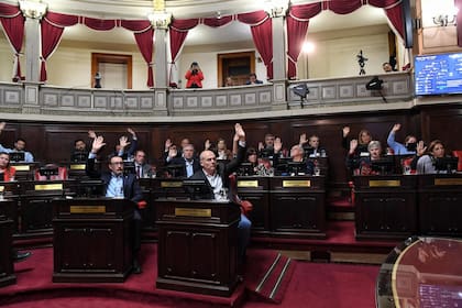 El momento de la aprobación de la declaración de repudio en el Senado bonaerense