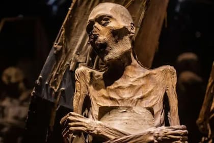 El Museo de las Momias de Guanajuato comenzó de forma clandestina en el Siglo XIX. Conserva 117 cuerpos que se momificaron de forma natural