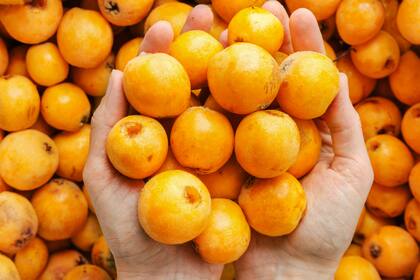 El níspero es una fruta baja en calorías que aporta fibra y se destaca por su contenido en vitamina A en forma de provitamina.