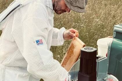 El nuevo trabajo de David Beckham: se puso el traje de apicultor y cosechó su propia miel. Foto/Instagram: @davidbeckham