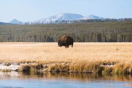 El Parque Nacional Yellowstone es probablemente el más conocido internacionalmente, pero existen otras alternativas naturales