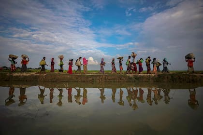 Refugiados rohingyas