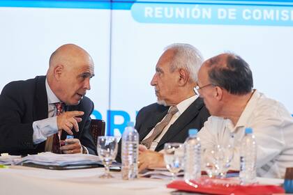El presidente provisional del Senado Bartolomé Abdala con Juan Carlos Romero, especialmente activo durante la reunión en comisión por el tratamiento del proyecto de Ley de Bases. 