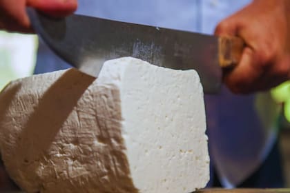 El primer queso de la Argentina que ayuda a reducir el colesterol