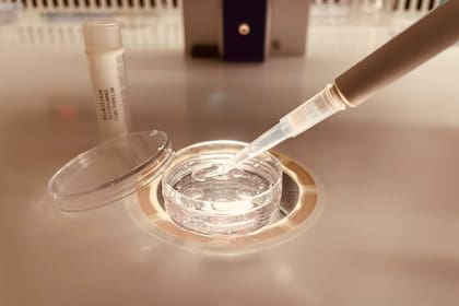 Embryoxite busca aumentar la tasa de éxito de los tratamientos de fertilización asistida a través de análisis metabolómicos de los embriones