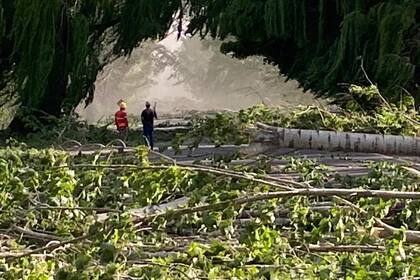 En el departamento de San Carlos, el viento provocó la caída de árboles, que obligó a cortar la ruta 40, entre las localidades de Pareditas y Eugenio Bustos