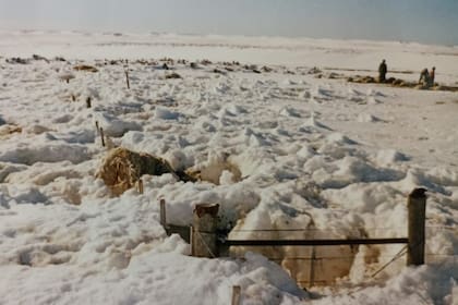 En "La nevada del siglo", en 1995, toda la provincia de Santa Cruz quedó bajo la nieve