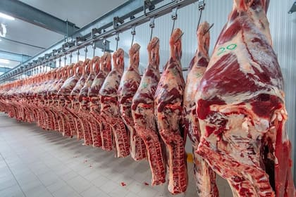 Estiman que el Gobierno podría haber sumado US$1000 millones extra si incorporaba la carne vacuna al dólar agro