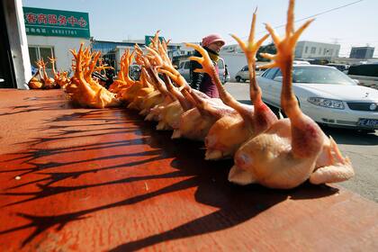 Fotografía de archivo del 21 de enero de 2014 de pollos muertos a la venta en un mercado mayorista en Shanghái. (AP Foto, Archivo)