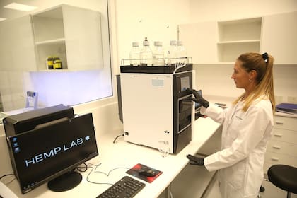 Hemp Lab, el primer laboratorio control de calidad de cannabis del país abre sus puertas en Mar del Plata
