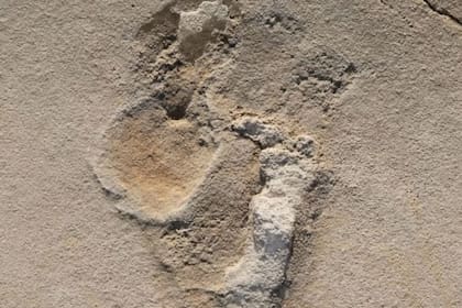 Huellas en la arena: una de las más de 50 huellas de los predecesores de los primeros humanos identificadas en 2017 cerca de Trachilos, Creta