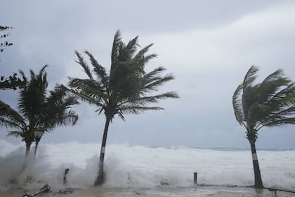 Las olas golpean las palmeras mientras el huracán Beryl pasa por Hastings, Barbados, el lunes 1 de julio de 2024