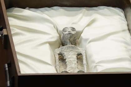 Jaime Maussan presentó "seres no humanos" momificados en la Cámara de Diputados de México