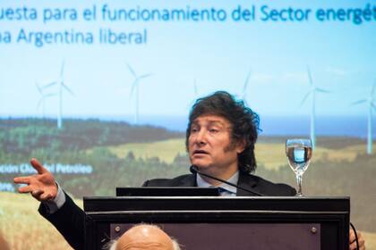 Javier Milei le dedicó mucho tiempo a exponer frente a empresarios petroleros durante la campaña electoral
