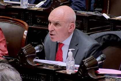 José Luis Espert durante la sesión especial de la Cámara de Diputados