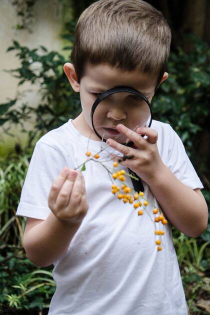 Jugar en el jardín: tres actividades para que los chicos se diviertan y aprendan en la naturaleza
