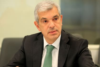 El ministro de Agricultura, Julián Domínguez