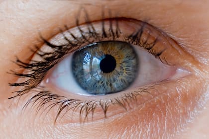 La astenopia conocida como fatiga visual o síndrome de fatiga ocular se refiere a un conjunto de molestias consecuencia del sobreesfuerzo de la estructura ocular tras llevar a cabo tareas visuales durante un periodo prolongado sin descansos