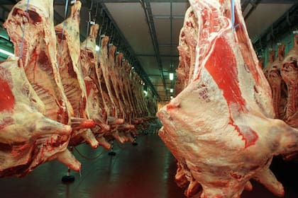 Hay expectativa en la industria exportadora sobre una liberación de las ventas de la carne de vaca que se exporta a China