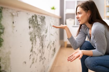 La humedad en las paredes, una de las principales deficiencias de las propiedades que cuesta detectar si se cubrió para disimularla antes de vender