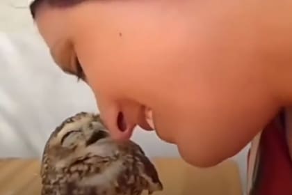 La increíble reacción de una lechuza al recibir un beso de una mujer (Foto: captura)