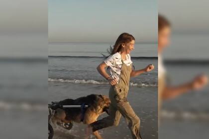 La mujer junto a una decenas de perros disfrutaron de la playa y emocionaron a los usuarios de las redes sociales (Captura video)